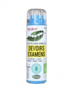 Complexe Devoirs-Examens (sans alcool)